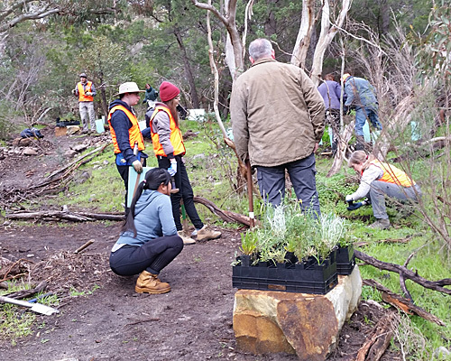 Wildflower Garden community day